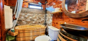 Cabin D (2)