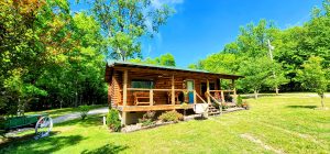 Cabin D (4)